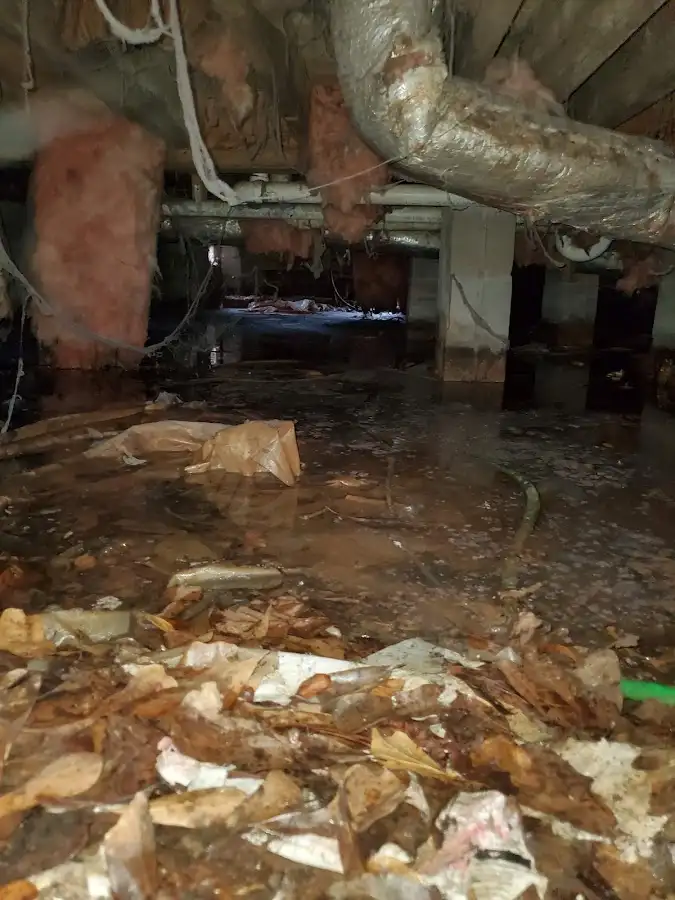 Crawl space flood assessment for Leak Detection & Repair in Firestone
