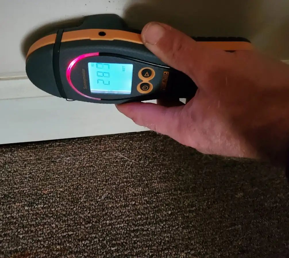 Moisture detection at baseboard during Sewage Cleanup & Sanitation in Firestone